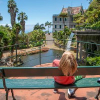 young boy relaxing on the beanch, fountain in the monte palace garden located in funchal, madeira island, portugal - garden decoration stock pictures, royalty-free photos & images