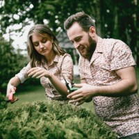 young couple trimming hedges in back yard - garden decoration stock pictures, royalty-free photos & images