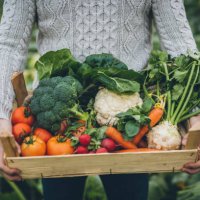 young farmer with crate full of vegetables - food stock pictures, royalty-free photos & images
