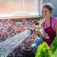 young florist watering the flowers and bushes - garden decoration stock pictures, royalty-free photos & images