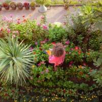 young male gardener in the garden - garden decoration stock pictures, royalty-free photos & images
