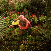 young man is watering flowers in the garden from a watering can. - garden decoration stock pictures, royalty-free photos & images