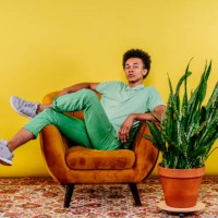 young man sitting on armchair by plant - home decoration stock pictures, royalty-free photos & images