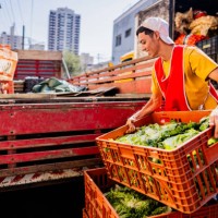 young man unloading boxes with vegetables from a truck - food stock pictures, royalty-free photos & images