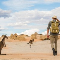young man walking in arid desert landscape with photography backpack on an adventure in outback australia - travel stock pictures, royalty-free photos & images
