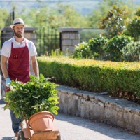 young man working in the garden - garden decoration stock pictures, royalty-free photos & images