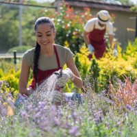 young people working in the garden - garden decoration stock pictures, royalty-free photos & images