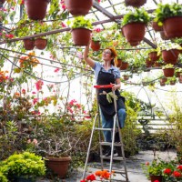 young redhead woman on a ladder in greenhouse taking care of a plants - garden decoration stock pictures, royalty-free photos & images