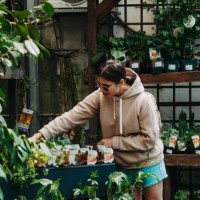 young woman chooses herb seedlings in the garden center - garden decoration stock pictures, royalty-free photos & images
