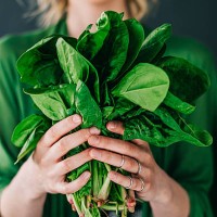 young woman holding spinach leafs salad - food stock pictures, royalty-free photos & images