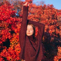 young woman in autumn forest in sunny day. trees with vibrant red and orange leaves. fall female portrait. knitted sweater and blue jeans. - fashion stock pictures, royalty-free photos & images