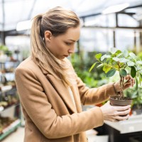 young woman in garden center buying potted plants - garden decoration stock pictures, royalty-free photos & images