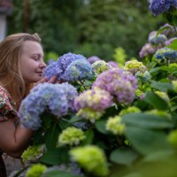 young woman smelling colorful flowers in the garden - garden decoration stock pictures, royalty-free photos & images