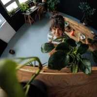 young woman taking care of plants in her apartment - home decoration stock pictures, royalty-free photos & images