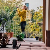 young woman tending to her plants on balcony - garden decoration stock pictures, royalty-free photos & images