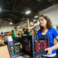 young woman volunteering to organize donations in large food bank - food stock pictures, royalty-free photos & images