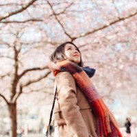 young woman walking under cherry blossoms trees in park - travel stock pictures, royalty-free photos & images