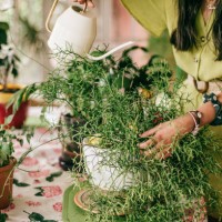 young woman watering plants at home - garden decoration stock pictures, royalty-free photos & images