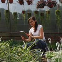 young woman with digital tablet in the greenhouse. - garden decoration stock pictures, royalty-free photos & images