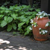 your zen-like flower garden - garden decoration stock pictures, royalty-free photos & images