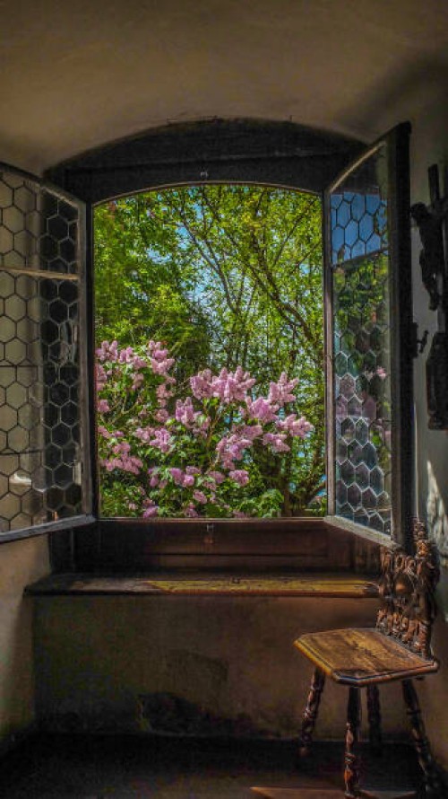 12th century view - garden decoration stock pictures, royalty-free photos & images