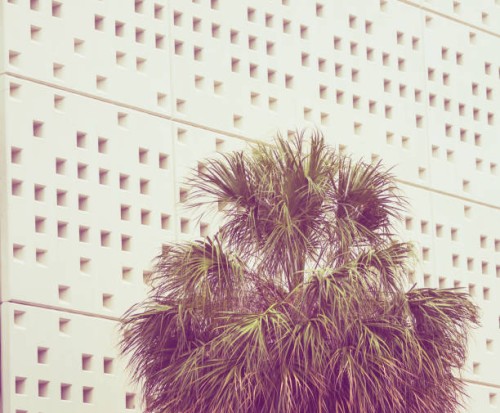 3 - garden decoration stock pictures, royalty-free photos & images