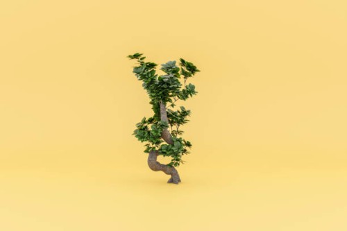 3d of monstera deliciosa on yellow background - garden decoration stockfoto's en -beelden