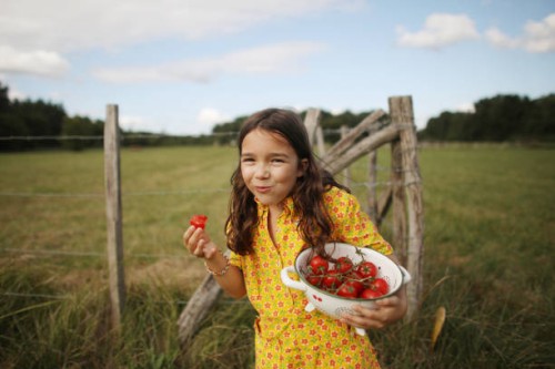 a 8 years old girl eating tomatoes in the countryside - food stockfoto's en -beelden