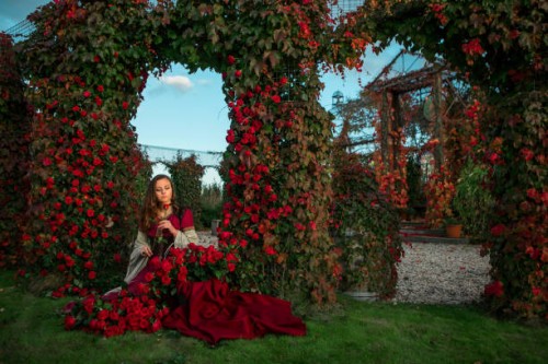 a beautiful blond princess in a secret rose garden setting - garden decoration stock pictures, royalty-free photos & images
