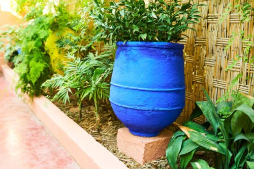 a beautiful large blue pot on a concrete block with a planted plant decorating a corridor with more plants in a row. - garden decoration stock pictures, royalty-free photos & images