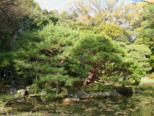 a bonsai tree in a pond in japan - garden decoration stock pictures, royalty-free photos & images