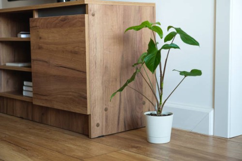 a bright living room with a houseplant. green leaves of a flower in a pot, against a white wall, at home or in the office. beautiful stylish modern design, minimalism. natural background. screen saver or wallpaper on the phon