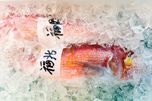 a bright red fish placed in ice for sale in a fish market. - food stockfoto's en -beelden