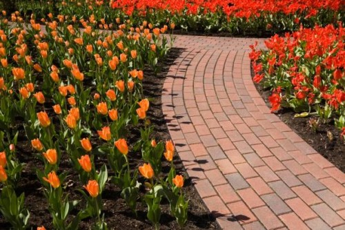 a curved brick garden path runs through the orange and red tulip beds in a public garden at springtime, old terrebonne, quebec, lanaudiere, canada - garden decoration stock pictures, royalty-free photos & images