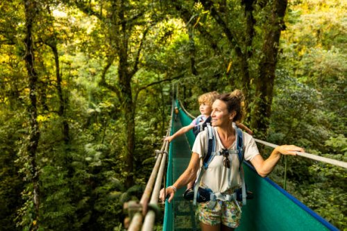 a family hiking across a suspension bridge in costa rica. - travel stock pictures, royalty-free photos & images