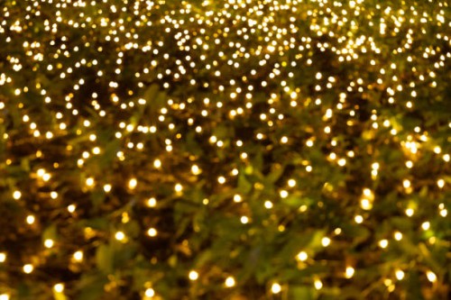 a festival of lights in the park celebrates christmas and new year. abstract illuminated light festival background - garden decoration stock pictures, royalty-free photos & images