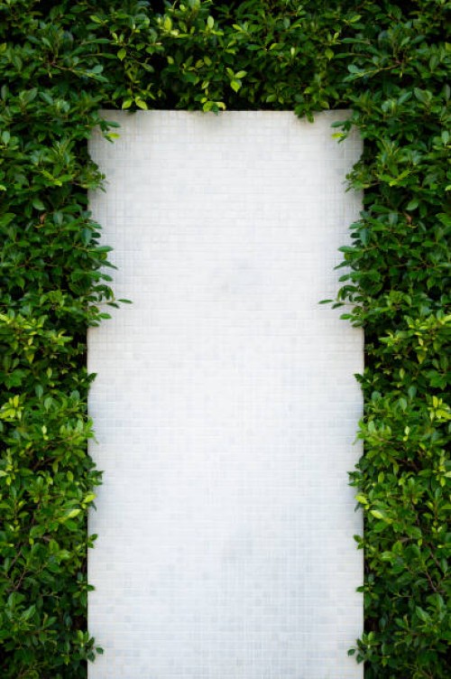 a frame of white space surrounded by green leaves - garden decoration stock-fotos und bilder
