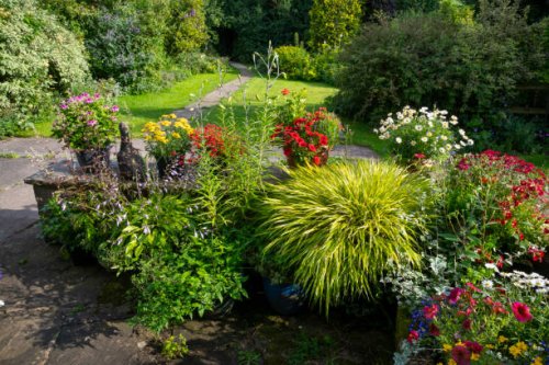 a front garden full of colourful plants in pots in summer sunshine - garden decoration stock pictures, royalty-free photos & images