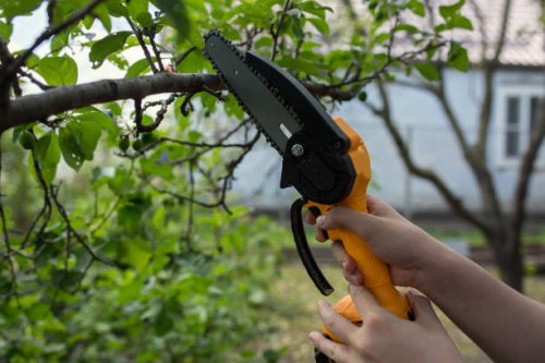 a gardener prunes trees with a light cordless chain saw. gardening. - garden decoration stockfoto's en -beelden