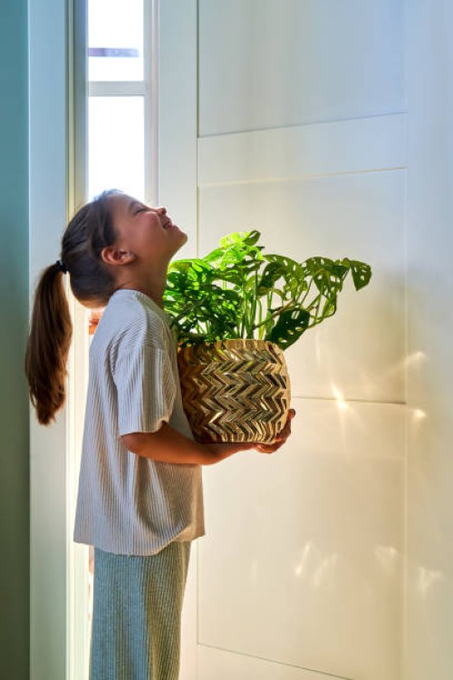 a girl holds a golden flower pot with a house plant and smiles. - garden decoration stock pictures, royalty-free photos & images