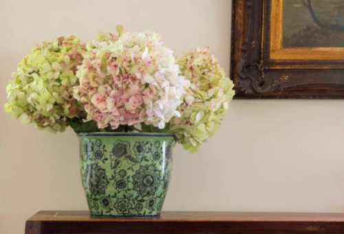 a green vase with some hydrangeas over against a wall and a part of a painting's frame. still life. - home decoration stock pictures, royalty-free photos & images