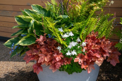 a large planter with mixed perennial foliage plants - garden decoration stock pictures, royalty-free photos & images