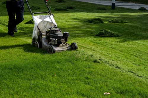 a lawn mower working in the grass - garden decoration stock pictures, royalty-free photos & images