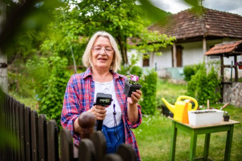 a mature woman plants flowers in her yard. a mature woman plants candles in her yard, uses the beautiful spring weather to decorate her garden around the house. - garden decoration stock pictures, royalty-free photos & images