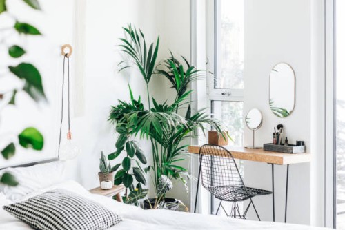 a modern, stylish and bright bedroom with plants - home decoration stock pictures, royalty-free photos & images