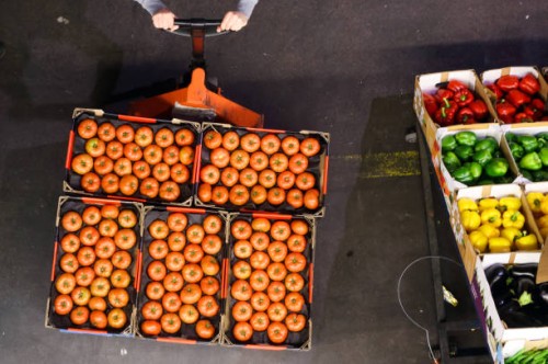 a pallet of tomatoes at a market - food stockfoto's en -beelden