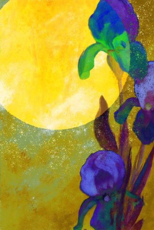 a picturesque illustration of irises against the background of the sun - garden decoration stock illustrations