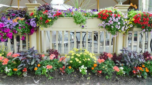 a porch with colorful flowers - garden decoration stock pictures, royalty-free photos & images