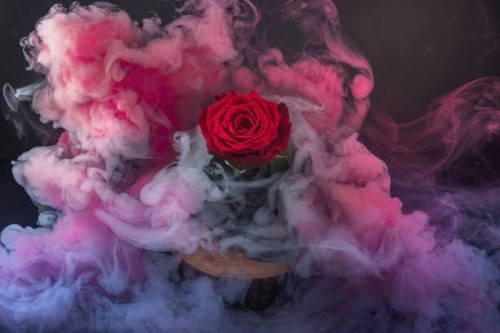 a red rose surrounded by swirling pink and purple smoke or mist,creating a mystical and ethereal atmosphere - garden decoration stock pictures, royalty-free photos & images