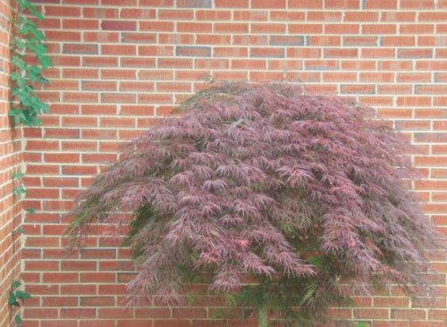 a ride through the country - garden decoration stock pictures, royalty-free photos & images